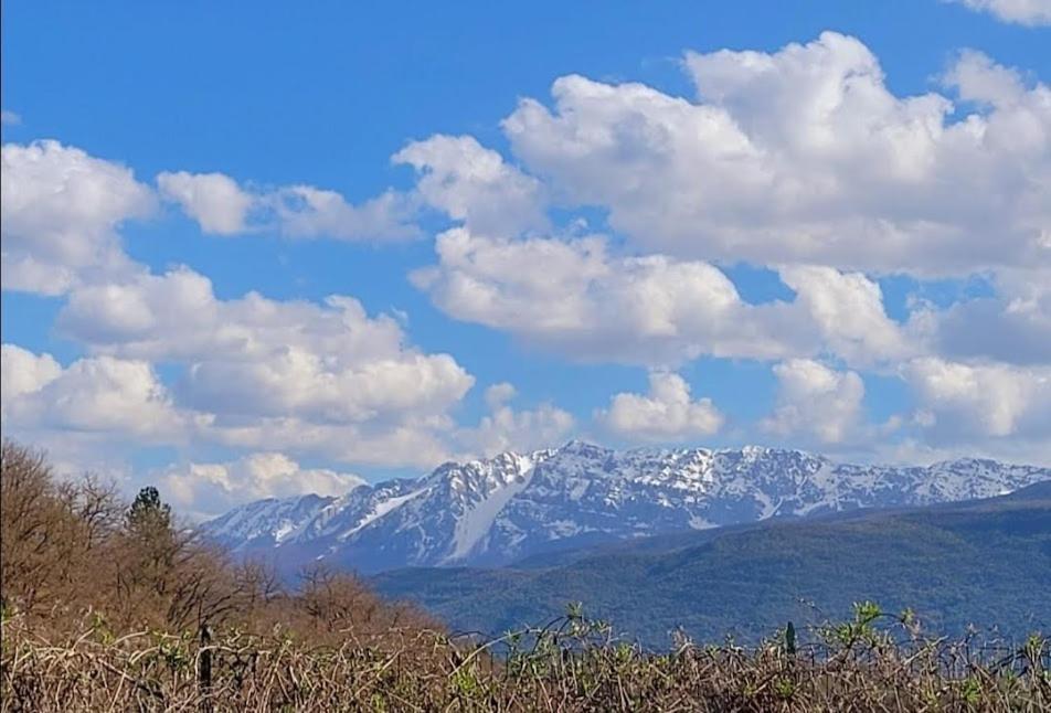 San Demetrio ne' Vestini Casa Ludovici 빌라 외부 사진